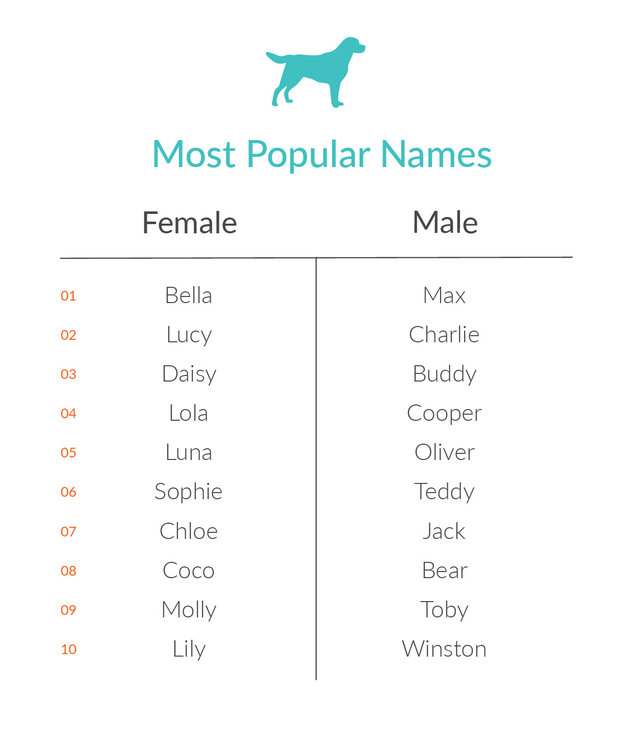 Infographic_PetNames_lowercase copy 4...