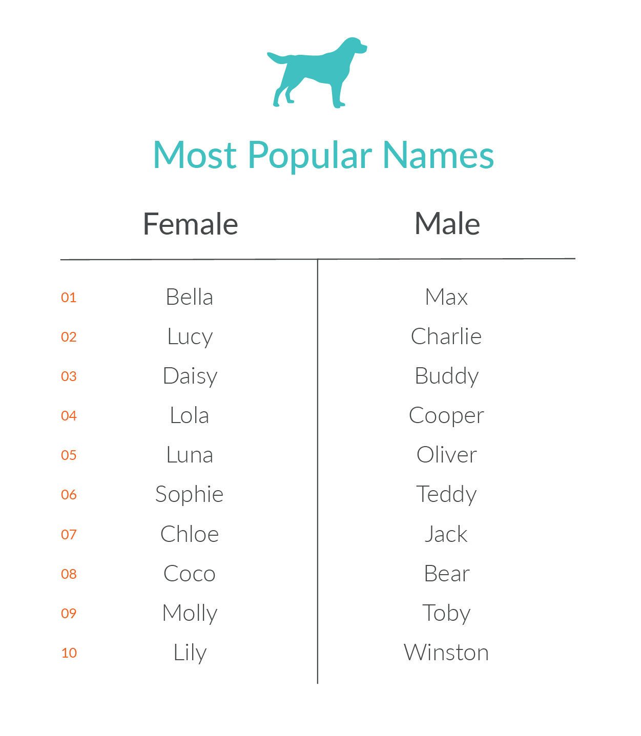 What Are The Most Common Pet Names Nom Nom