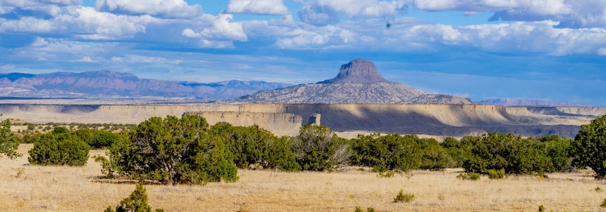 San Luis Road.webp