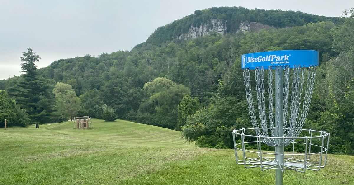 A blue-banded disc golf basket in a mown area surrounded by trees and a mountain with exposed rock in the background