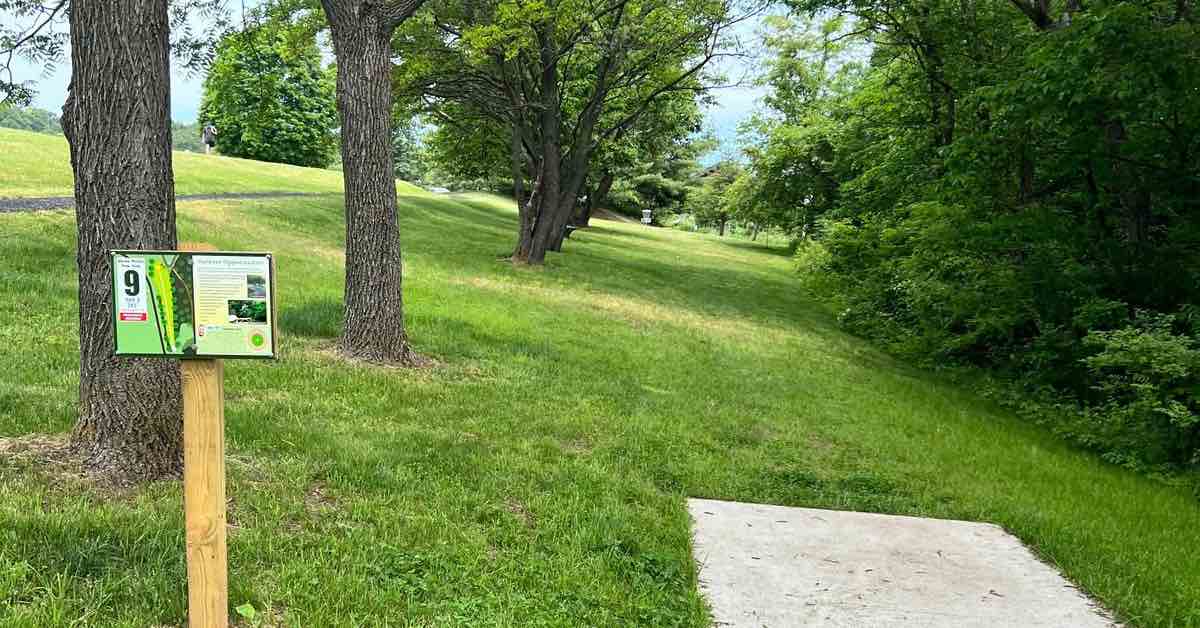 A concrete disc golf tee pad with tee sign on the left and a fairway lined with evenly-spaced trees in a park-like landscape