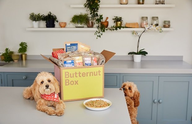 butternut-box-with-dogs-8-2-LST388266...