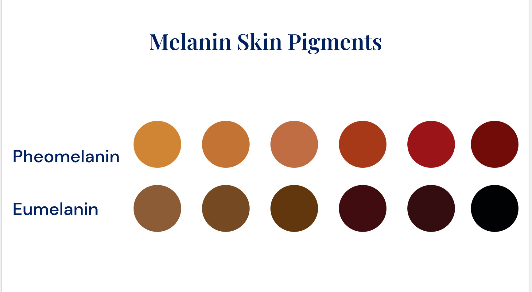 Melanin pigments in skin eumelanin and pheomelanin