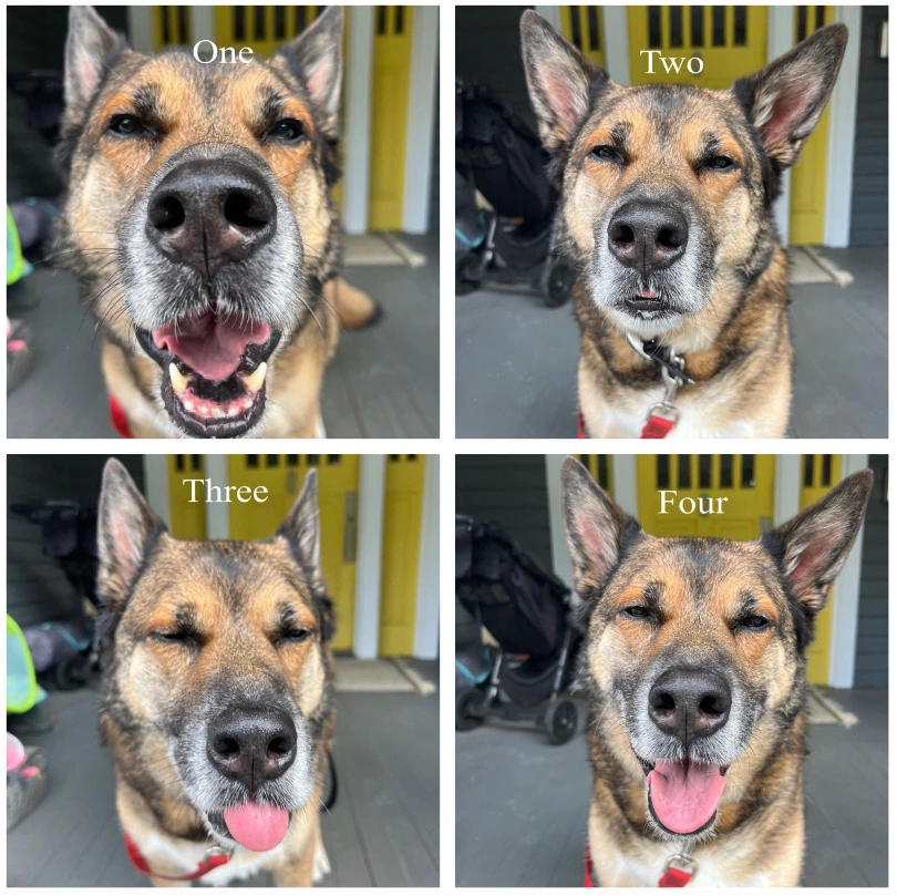 Screen Shot 2023-10-27 at 4.14.16 PM....