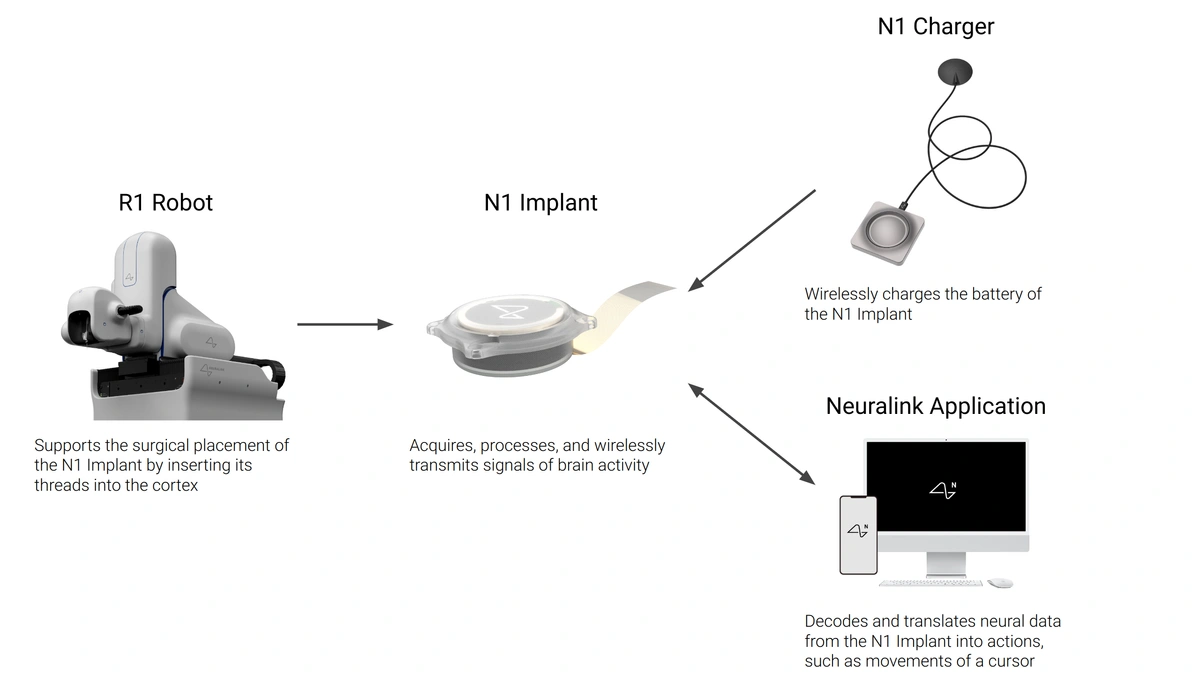 High-level representation of how the N1 Implant, N1 Charger, Neuralink Application, and R1 Robot interact (objects in diagram are not to scale).