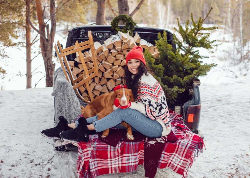 a woman in winter Christmas clothes sits on the bed of a truck with a dog and firewood