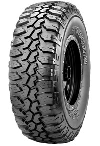 maxxis bighorn mt 762.jpg