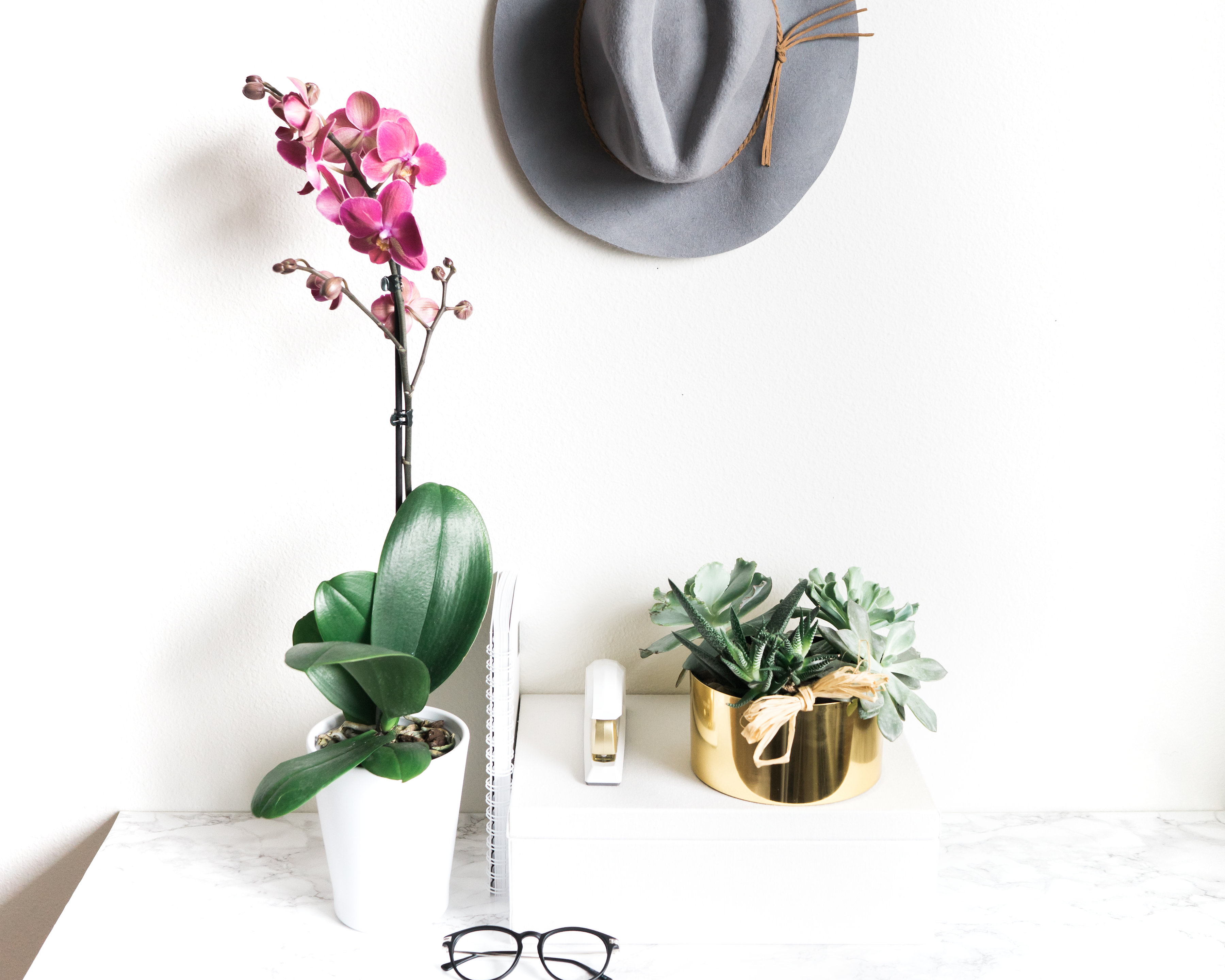Orchid Plant on White Desk