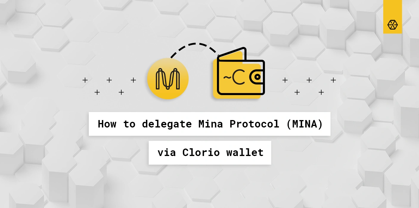 How to delegate MINA (Mina Protocol)