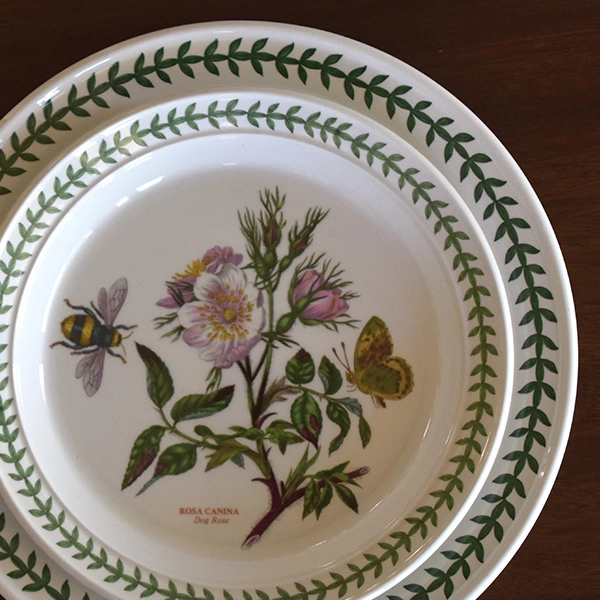 China by Portmeirion 