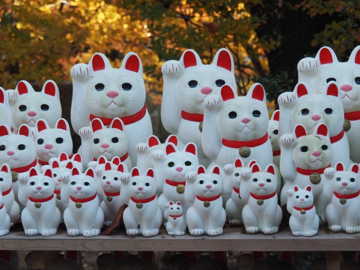 日本東京神社 豪德寺