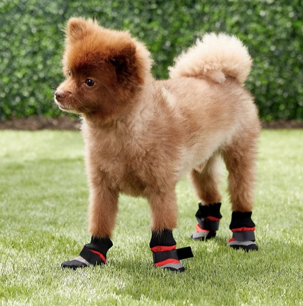 ethicalpetbooties.webp