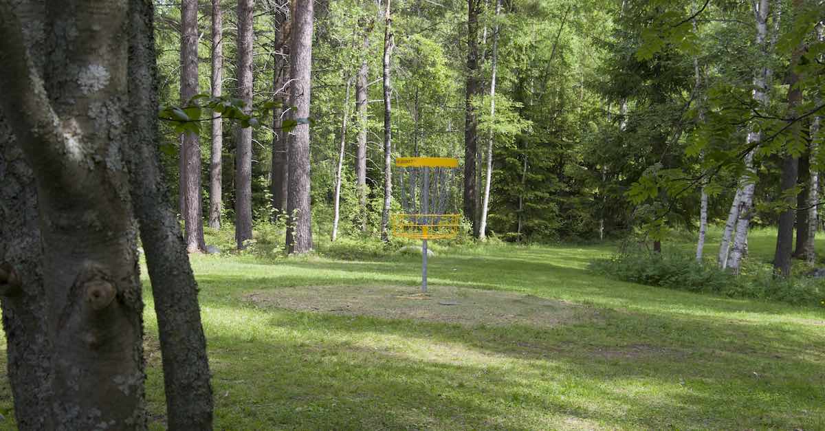 A yellow disc golf basket on a grassy fairway in the woods