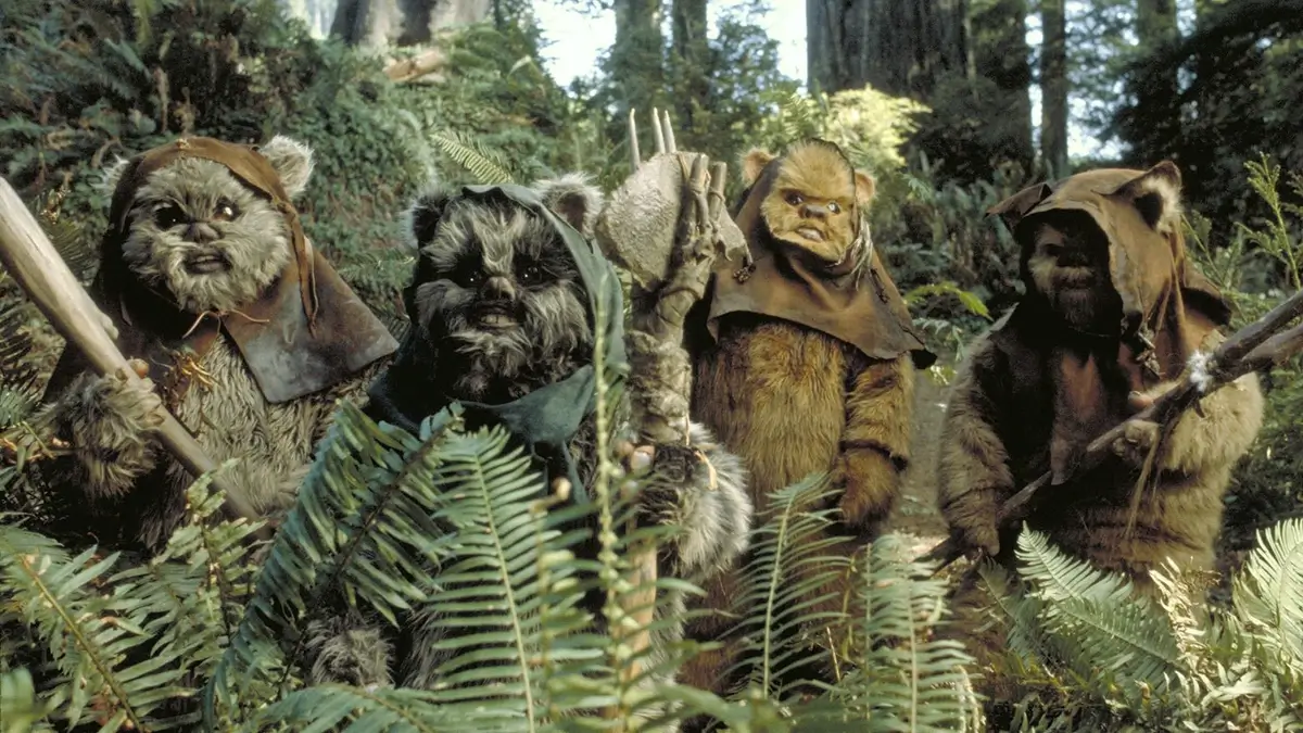 ewok (1).webp
