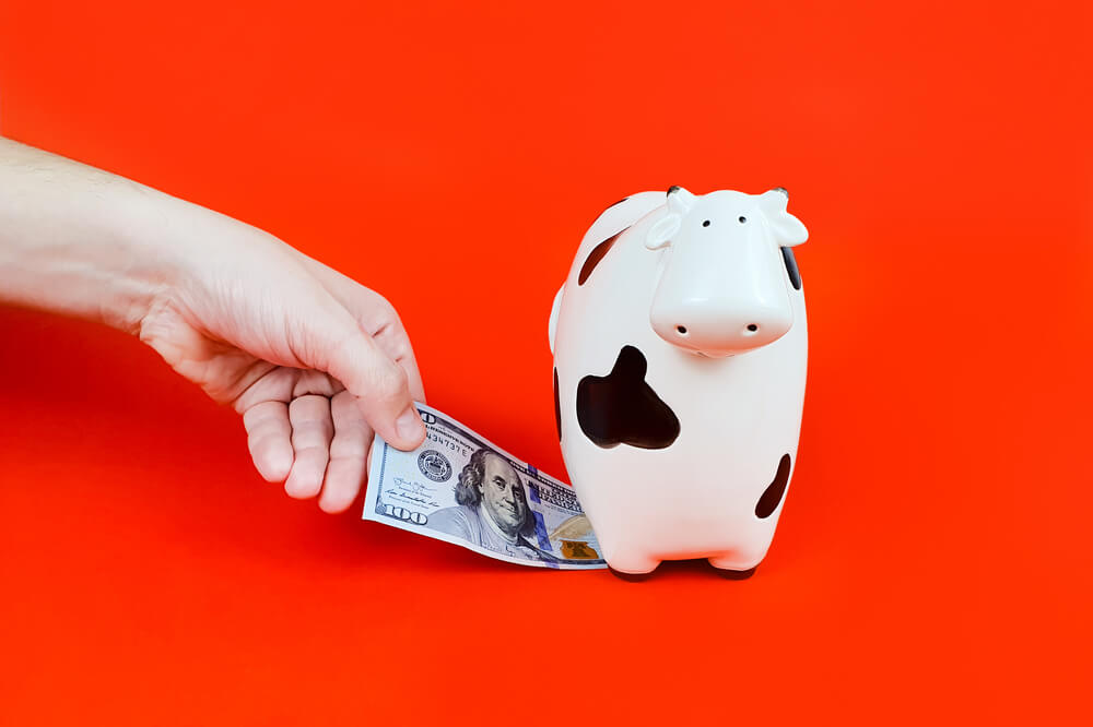 cash cow payday loan