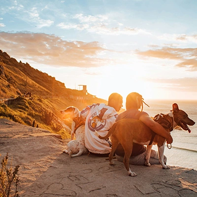 Couple traveling with dogs.