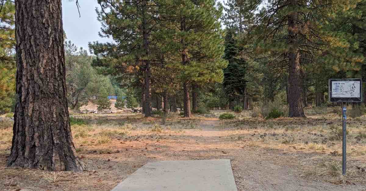 Concrete disc golf tee in flat, western U.S. forest land