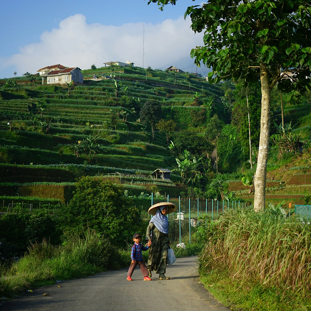 Gunung Gede Pangrango National Park.webp