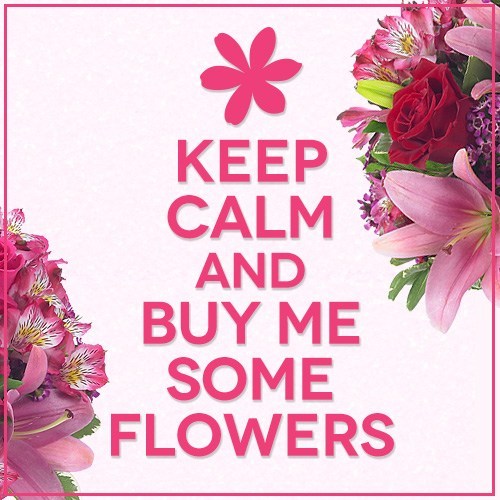 Funny Flower Quotes Just Because