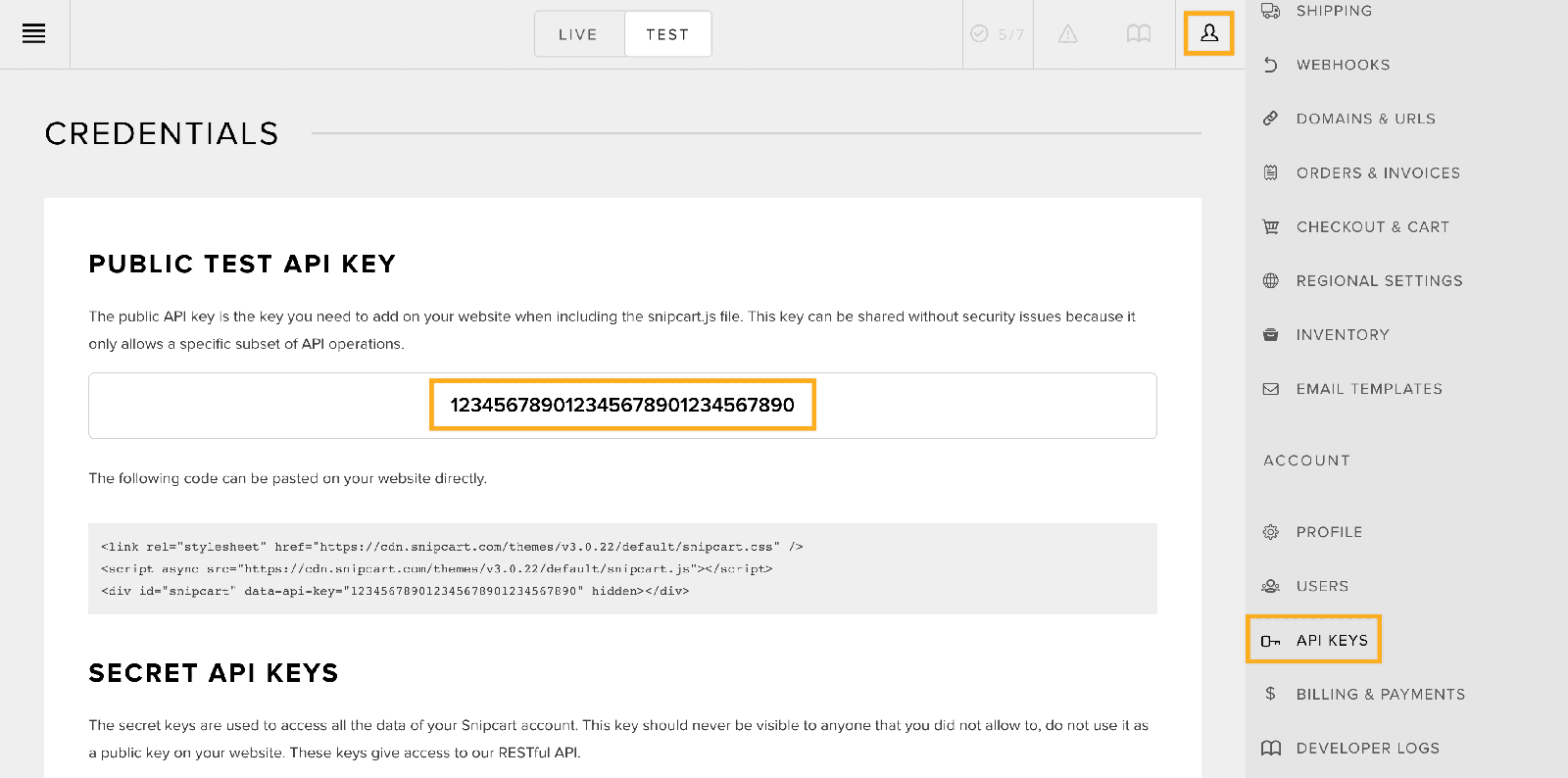 Screenshot: Snipcart API key
