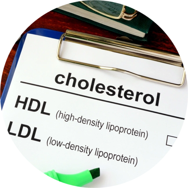The Connection Between Testosterone and Cholesterol