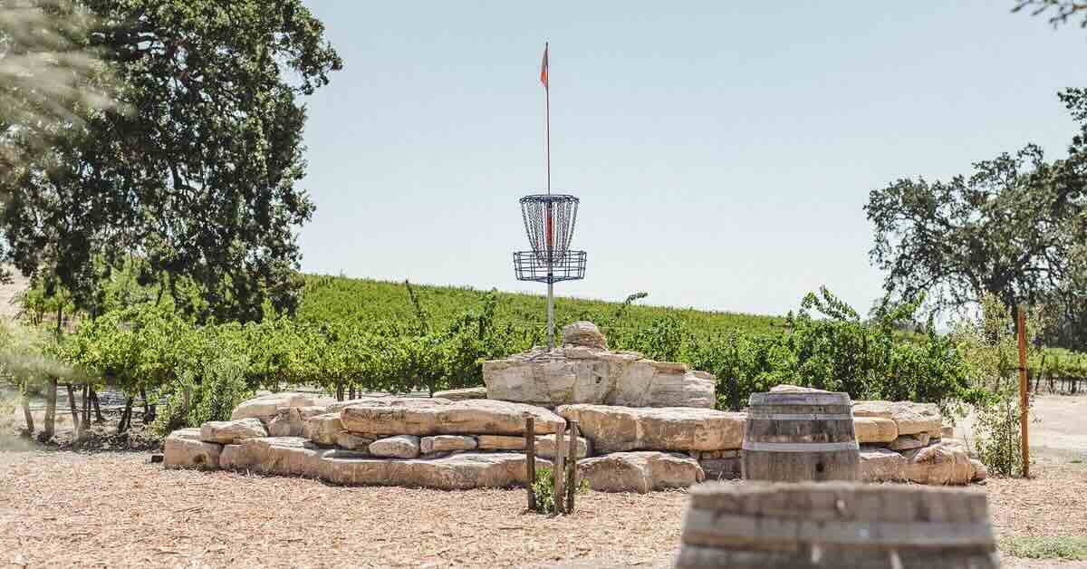 A blue disc golf basket on rocks with grape vines in background