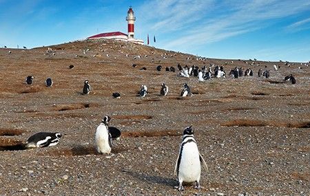 Punta Arenas