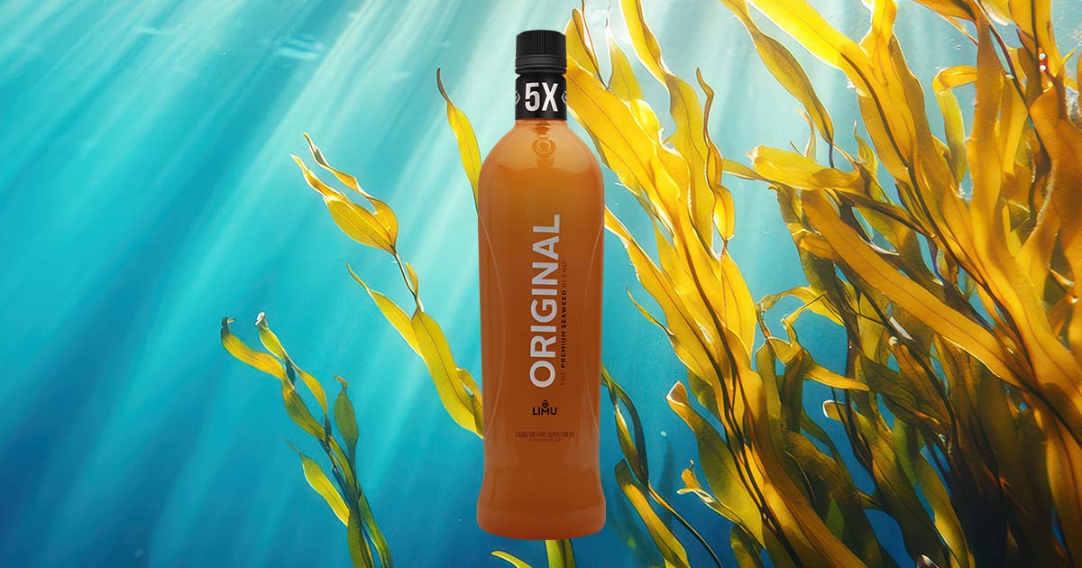 Partner.Co | LIMU ORIGINAL®