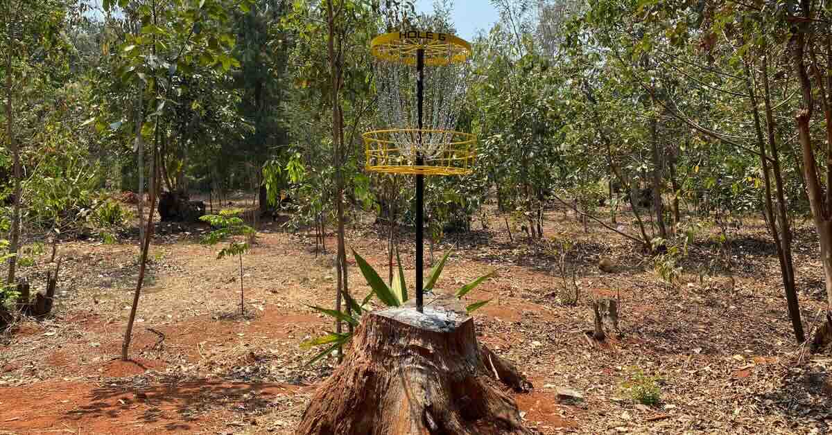 A disc golf basket mounted on a stump in a wooded area
