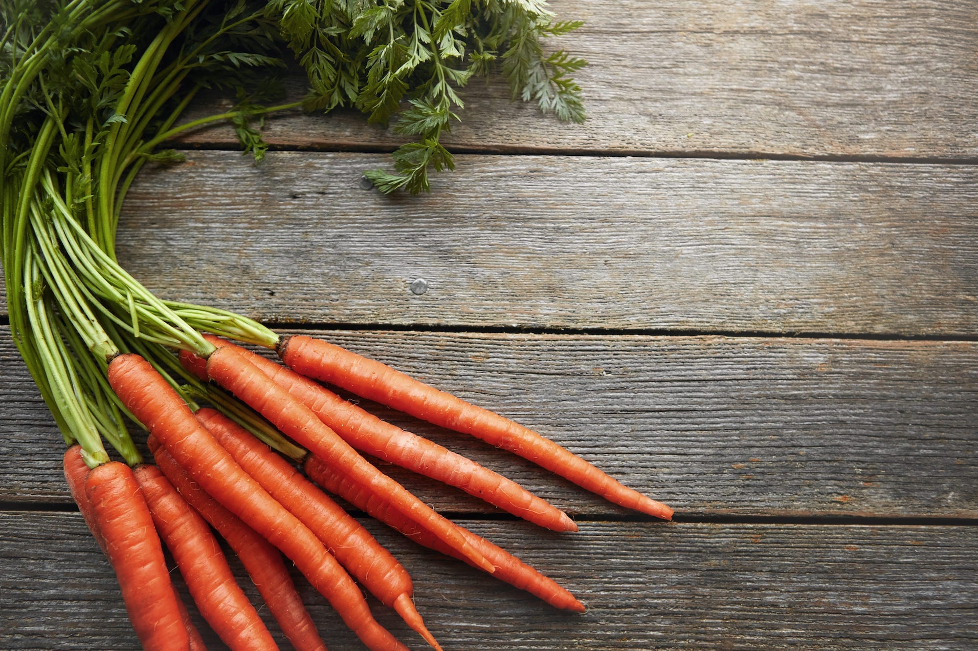 We love carrots! 🥕#naturalpetcare #healthydog #doghealthcare