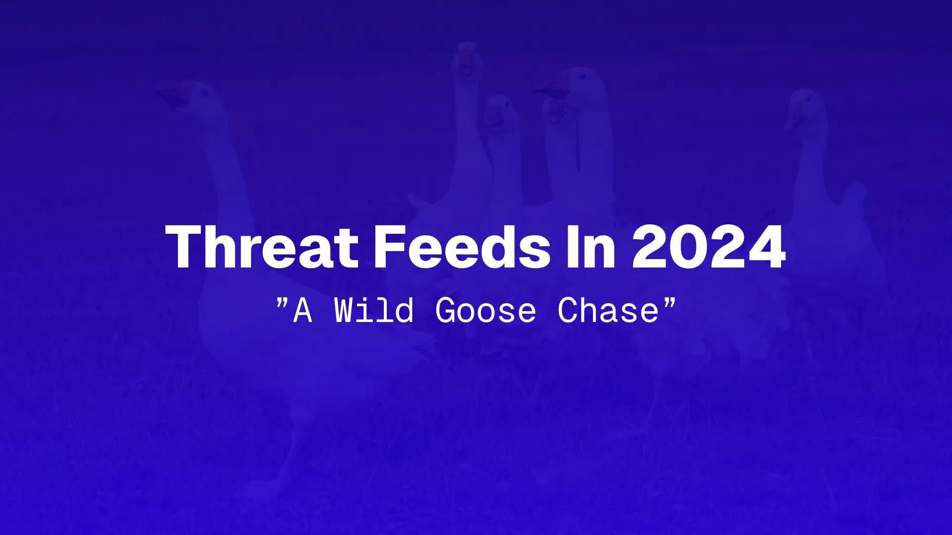 An image of geese with text "Threat Feeds in 2024, A Wild Goose Chase"