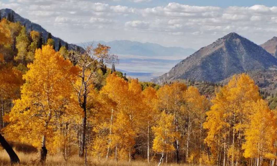 Salt Lake City Fall foliage