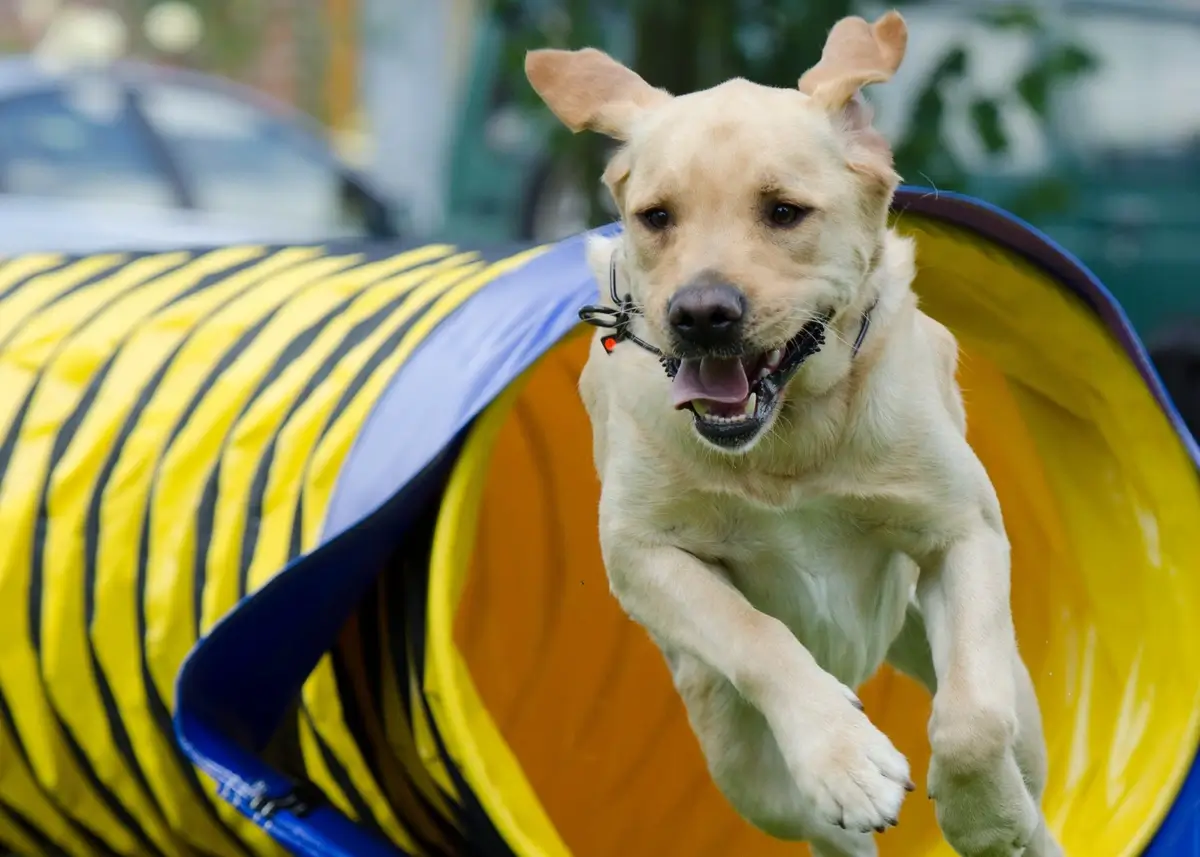 Untitled design (10) (1).webp