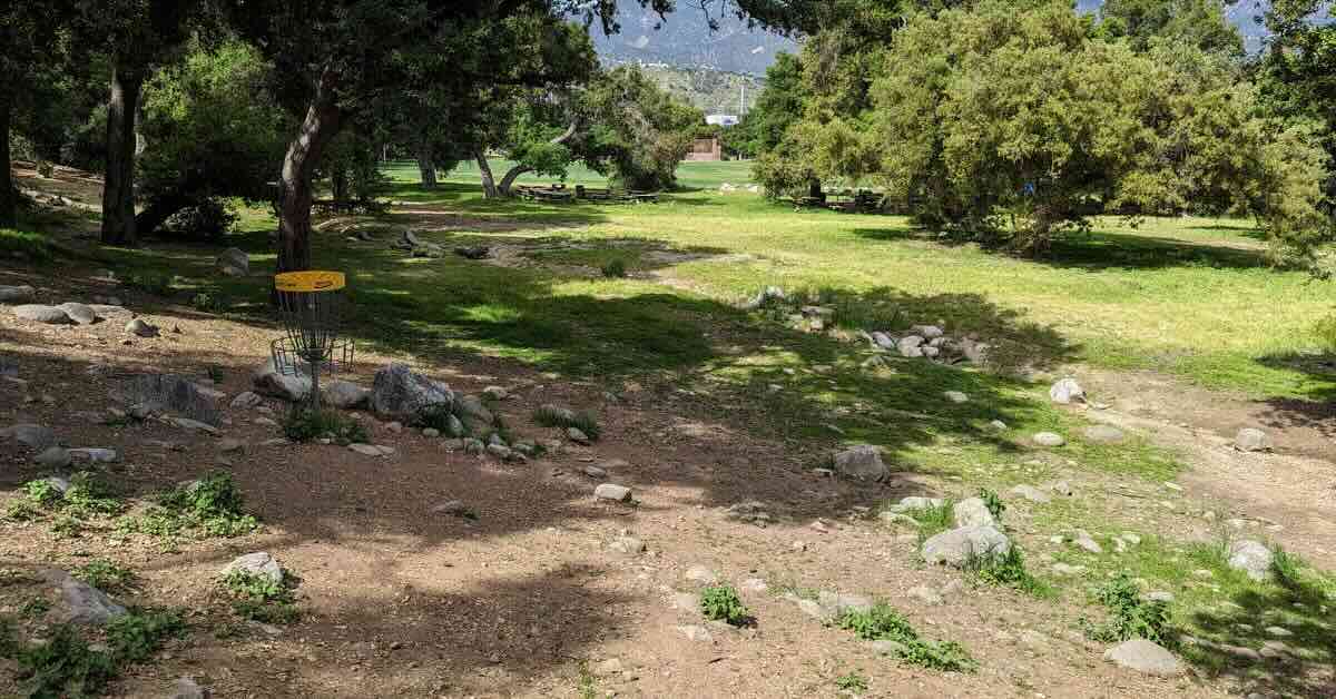 A disc golf basket in a park with low-canopied oak trees, lots of small rocks, and short grass
