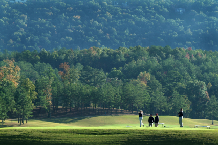 Golfers playing a hole with forest background