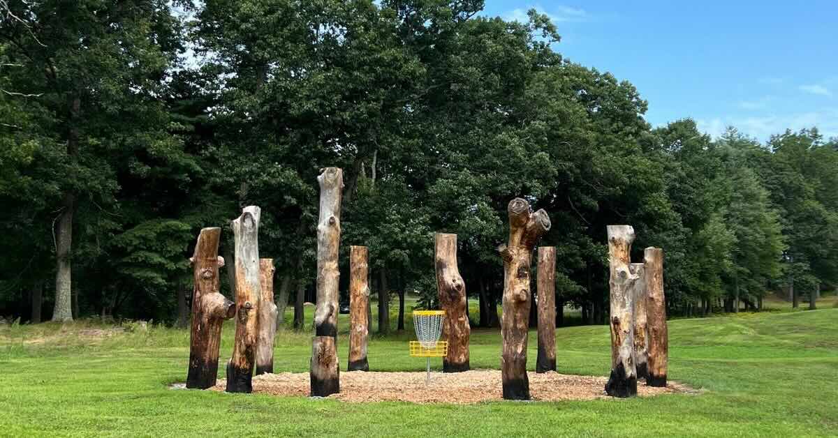 A disc golf basket in a circle of mulch defined by segments of tree trunks stood vertical 