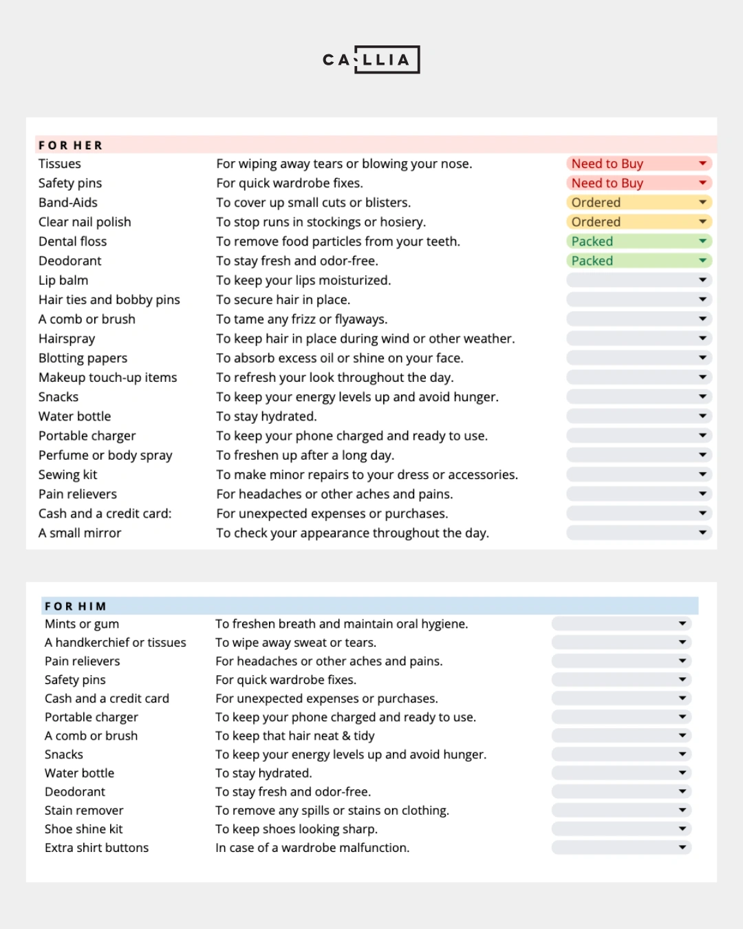 Screenshots from Callia’s free wedding day emergency kit template showing a variety of essential items for wedding day.