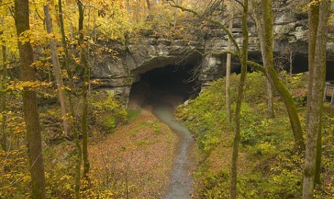 Cave in the forest with small trail leading inside