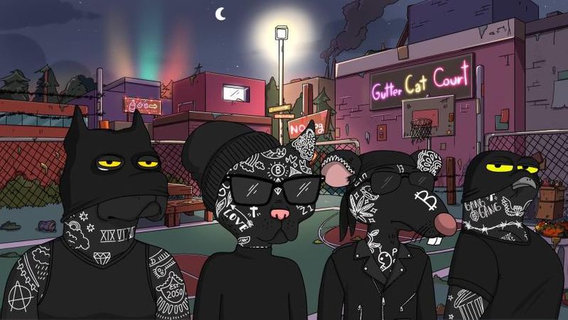 Gutter Cat Gang, the complete guide