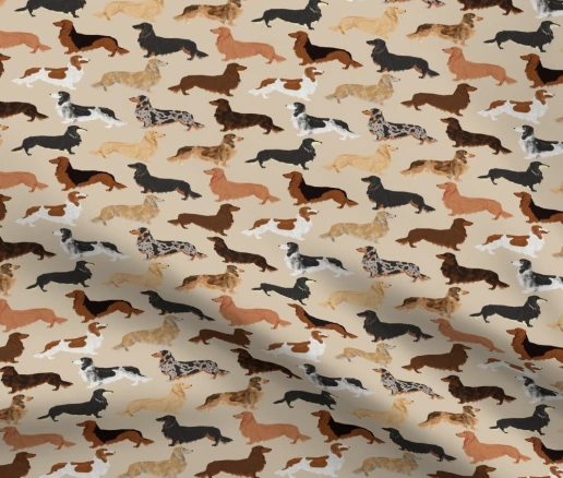 longhairdachshundfabric.webp