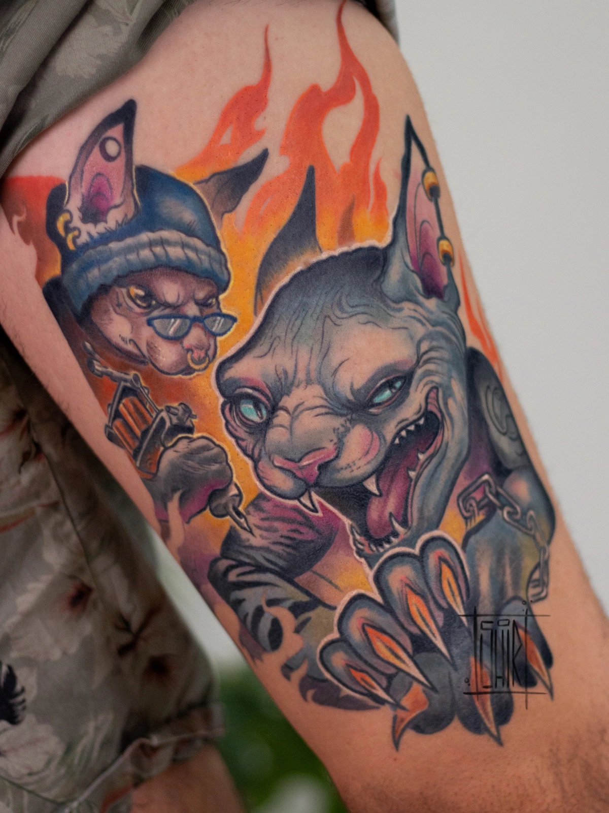 Sphynx beerus cat tattooing 