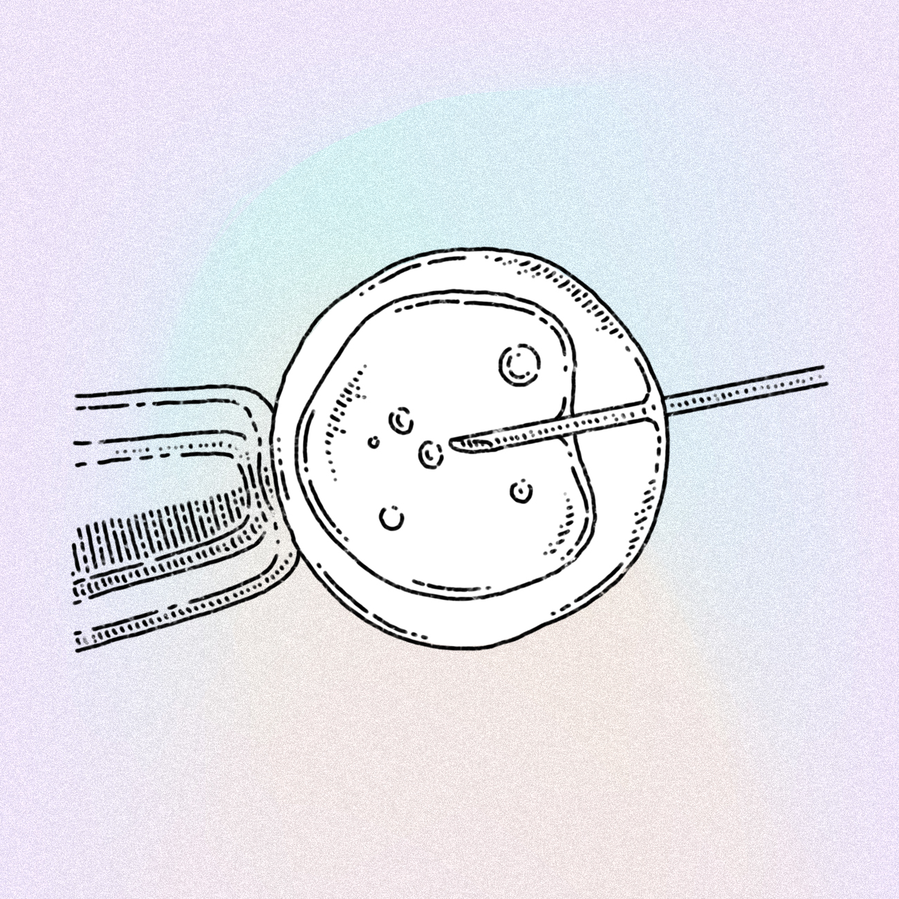 Artificial insemination illustration