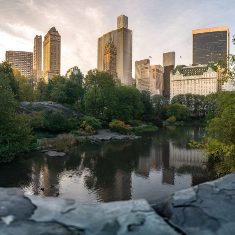 Pond in Central Park