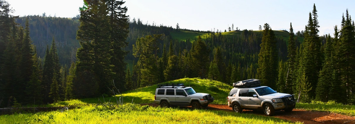 Bear Divide Road.webp
