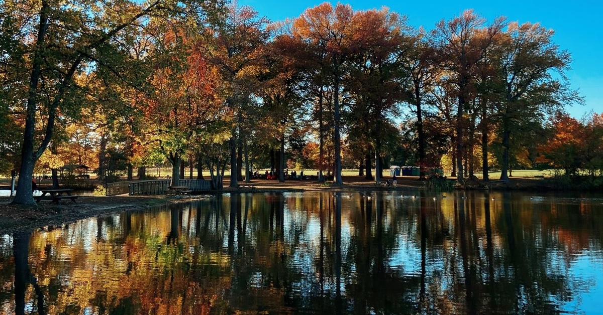 Water surrounded by trees in fall colors