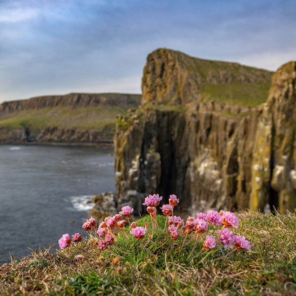 Neist Point, Isle of Skye, Wielka Brytania.webp