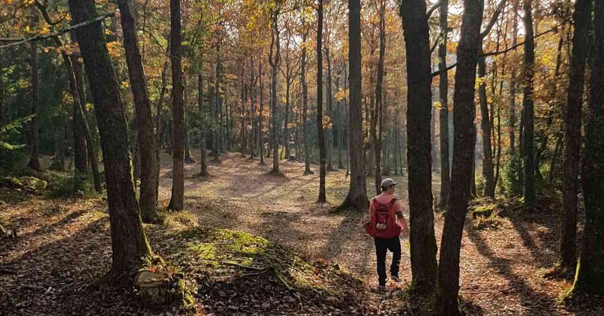 A person walking down a wooded disc golf fairway in fall