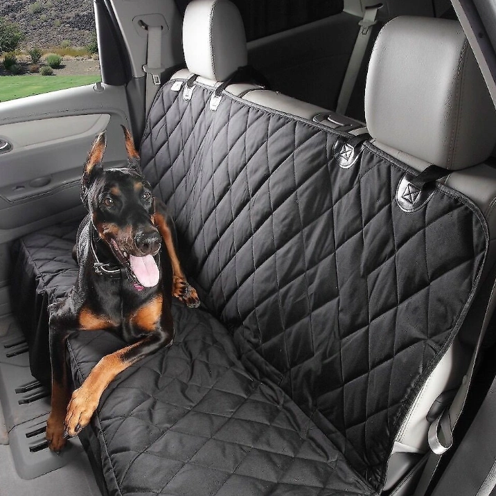 Best Dog Hair Removal Tools to Manage Shedding