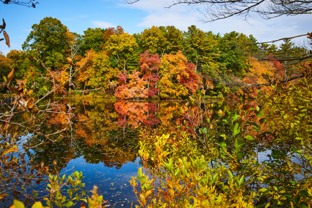 fall in connecticut