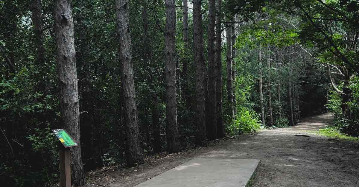 A concrete disc golf tee pad leads to a tightly wooded tunnel shot